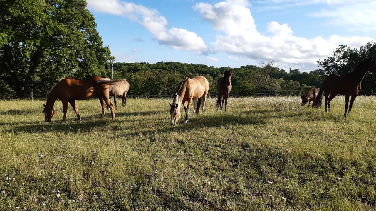 Ferme Brasseyrou - B&B Classique Devillac Eksteriør billede